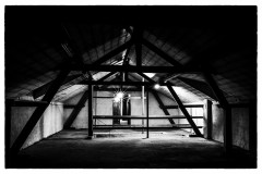 friche-Yverdon-Christian-2-sur-13little