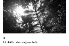 Story_5_Pascal
