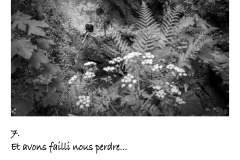 Story_7_Pascal