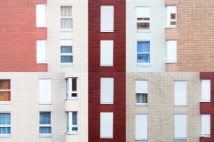 cadol_bongard_446