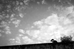 Libre - Cyril Vartanian